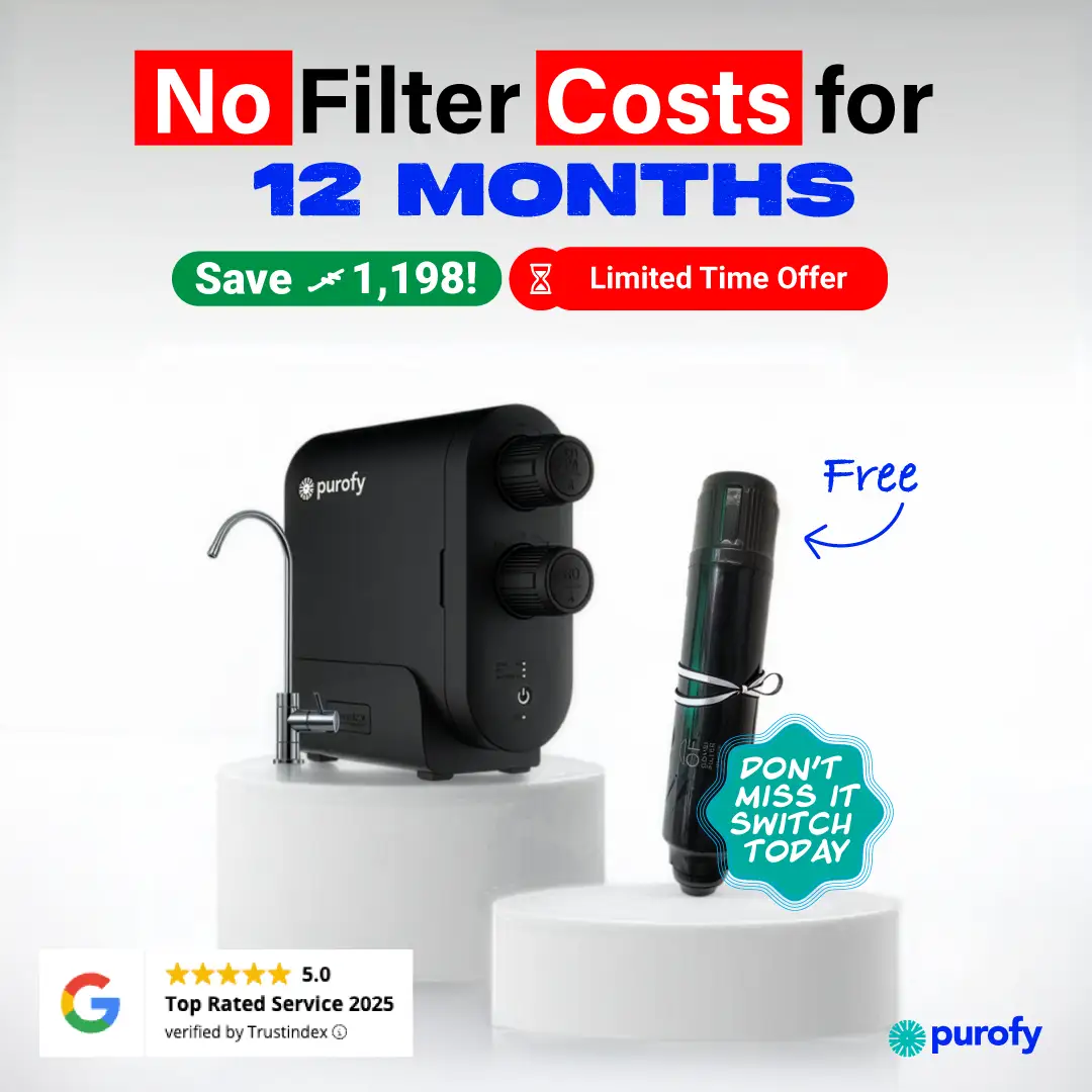 1 Free Composite filter promotion 01